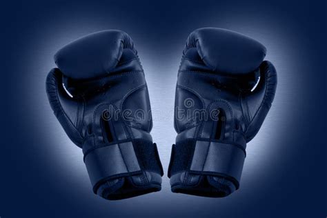 Two Boxing Gloves Stock Image Image Of Health Athletics 3274987