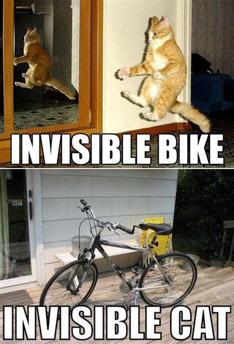 Invisible Bike Cat Fun Cats Bike