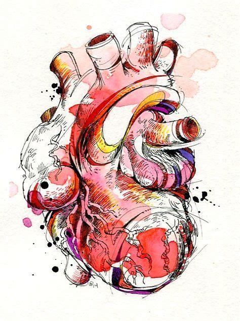 pin by rosa m on arts anatomical heart art heart art anatomy art