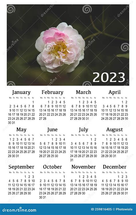Botanical Calendar For 2023 Stock Illustration Illustration Of
