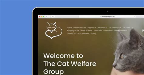 The Cat Welfare Group The Dots