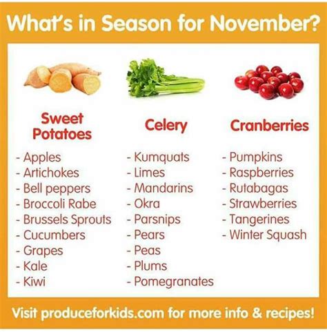November Eat Seasonal Fruits And Veggies Nutrition Recipes