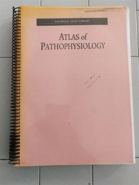 Atlas Of Pathophysiology Hobbies And Toys Books And Magazines Textbooks
