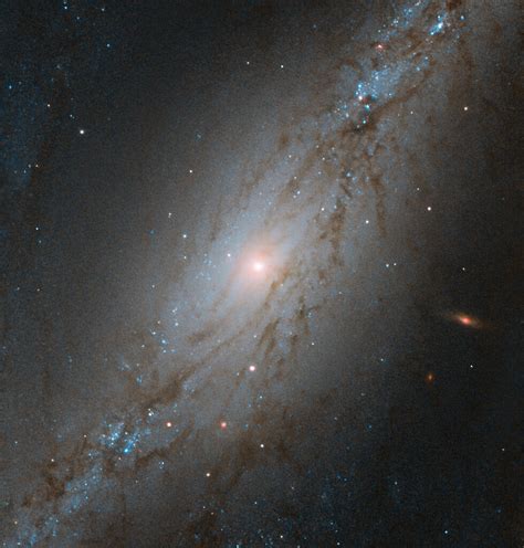 Esta imagen del hubble muestra a ngc 2608, una galaxia espiral barrada ubicada a 64 millones de años luz de distancia en la constelación. Galaxia Espiral Barrada 2608 / Galaxy Ic 2394 Barred Spiral Galaxy In Cancer Constellation / La ...