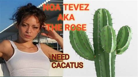 noa tevez got help from cactus youtube