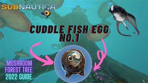 Get Cuddle Fish No1 Mushroom Forest Tree Subnautica Guide Youtube