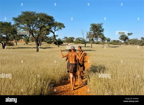 Namibia Kalahari Desert Intu Afrika Kalahari Game Reserve Morning Walk With Bushmen Stock