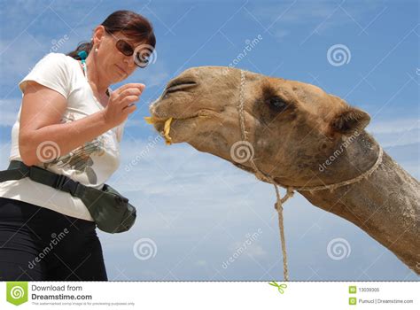 Mujer Y Camello Imagen De Archivo Imagen De Resto Punzada 13039305