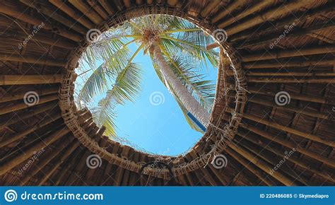 Palm View Throught Roof S Window In Beach Bungalow Stock Image Image
