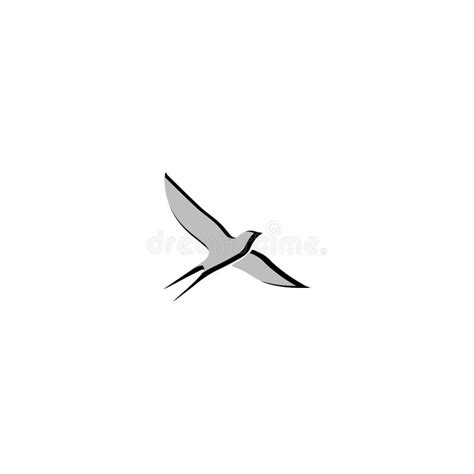 Creative Logo Design Swallow Bird Logo Vector Template Illustration