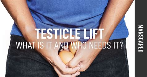 Testicle Lift What Is It And Who Needs It