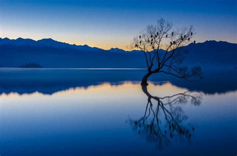 Nature Landscape Calm Bluewater Trees Lake Reflection Wallpapers