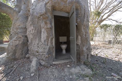 Baobab Toilet Caprivi Baobab