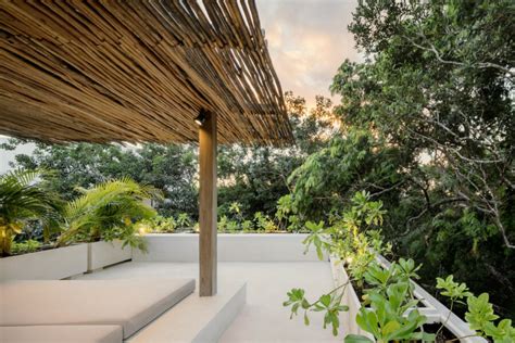 Casa Areca El Refugio Tropical Diseñado Por Co Lab Design Office