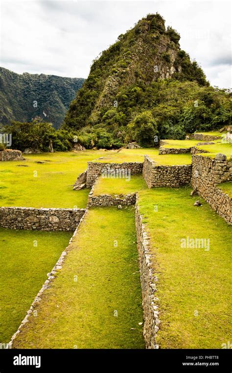 Garden And Agricultural Terraces In The Sanctuary Within Machu Picchu