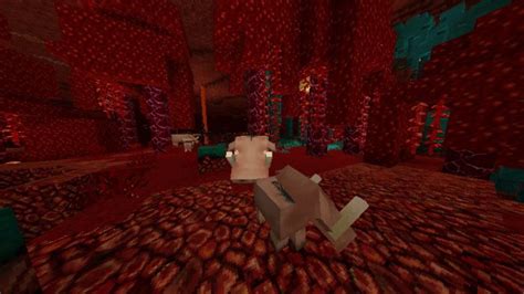 John Smith Legacy Texture Pack 11651164 → 18 Resource Packs