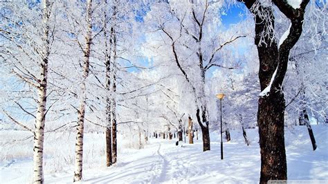 10 Most Popular Winter Wonderland Background Pictures Full Hd 1920×1080