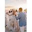 An All White Wedding Set Against The Santorini Sunset  Wedded Wonderland