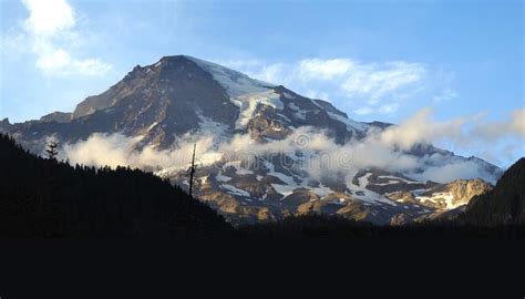 Mount Rainier Trees Stock Photos Download 2034 Royalty Free Photos