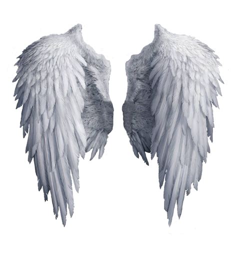 White Angel Wings Png Transparent Image Download Size 1024x1192px
