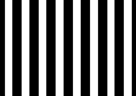 48 Black And White Stripes Wallpaper