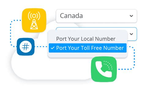 Voip Number Porting Get Paid To Port Business Phone Numbers