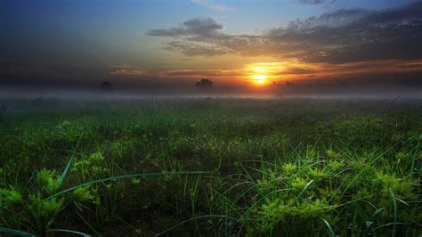 Morning Mist On The Field Wallpaper Nature And Landscape Wallpaper