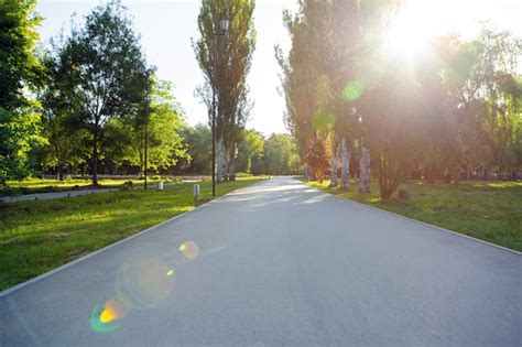 El Camino En El Parque De La Ciudad Con árboles Y Césped Descargar