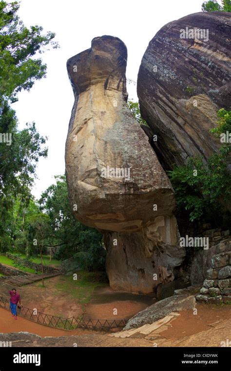 Cobra Hood Cave 5th Century Ad Sigiriya Lion Rock Fortress Unesco
