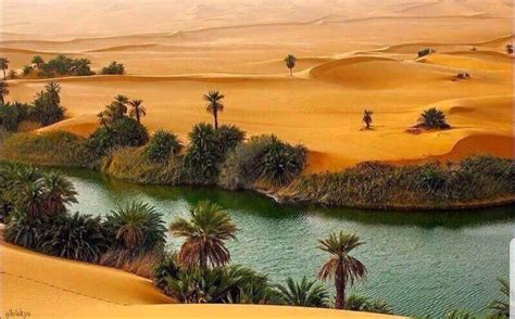 Many Secrets Buried Under The Sands Of The Rub Al Khali Al Arabiya