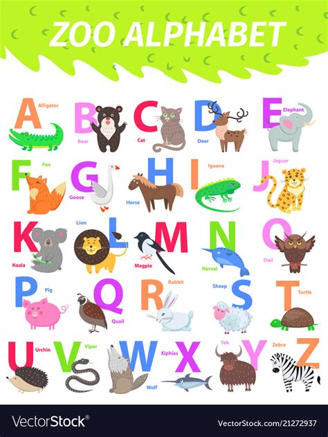 Zoo Alphabet With Cute Animals Cartoon Flat Vector Image