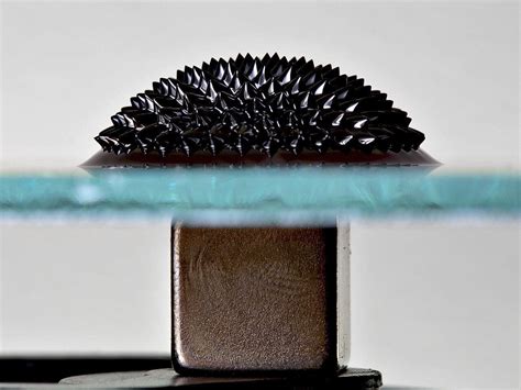 Microfluidic Magnetic Particle Separation Elveflow