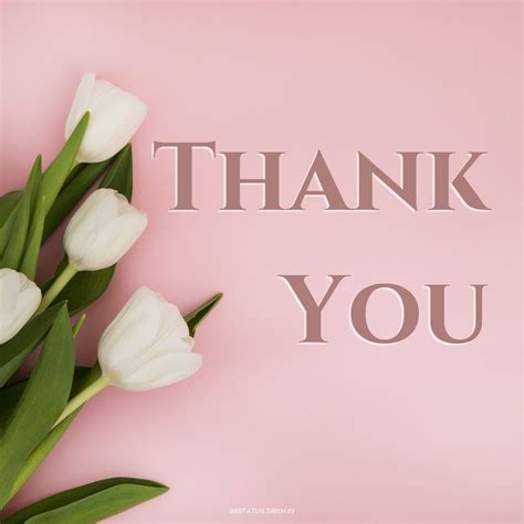 Thank You Images With Flowers Hd Saying Thank You With Flowers Stock