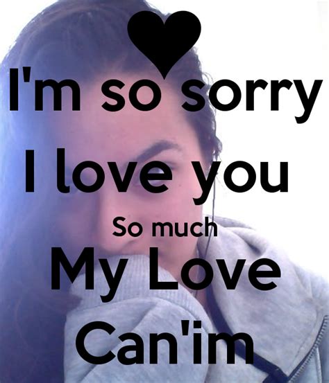 So ji sub as cha moo hyuk im soo jung as song eun chae jung kyung ho as choi yune seo ji young as kang min joo choi yeo jin as moon ji young lee hye young just love it so much. Im Sorry I Love You Quotes. QuotesGram