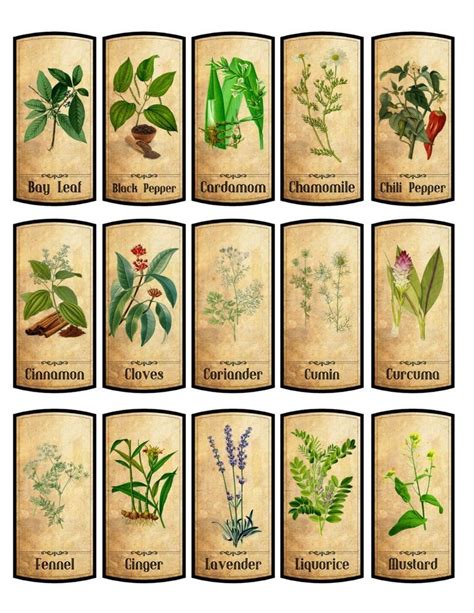 Free Printable Vintage Herb Labels Printable Templates