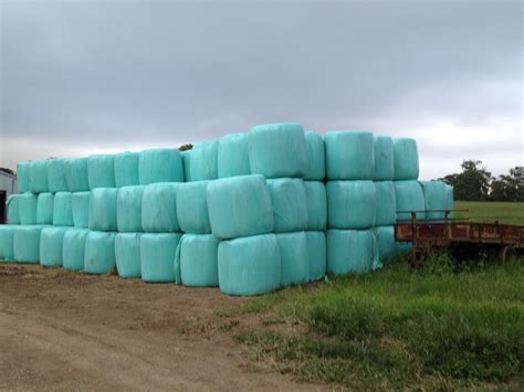 Silage Bales Hay And Fodder Silage For Sale
