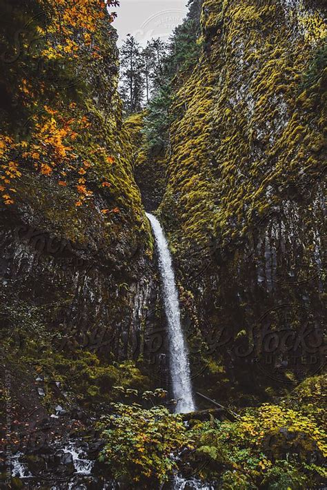 Oregon Waterfall By Stocksy Contributor Evan Dalen Oregon