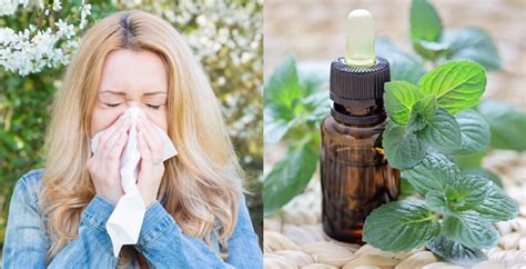 Natural Ways To Treat Seasonal Allergy Symptoms Seasonal Allergy