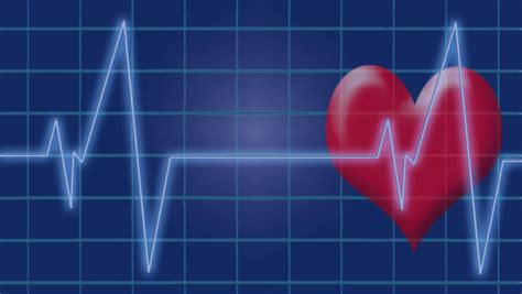 Frecuencia Cardíaca Qué Es Y Cómo Se Mide Vidae