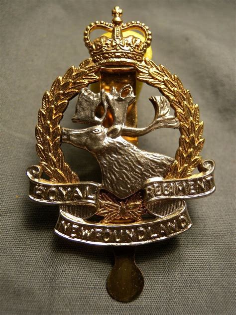 Royal Newfoundland Regiment Post Wwii Cap Badge Q93 Light Bronze