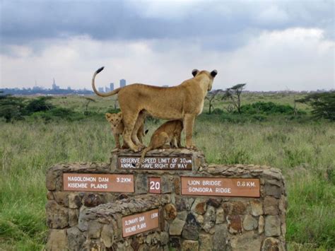 Top 10 Best Places To Visit In Nairobi Kenya