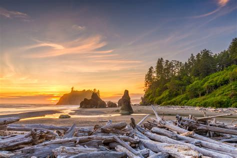 Florida Road Trip Ideas The Top 10 Olympic Peninsula Road Trip Stops