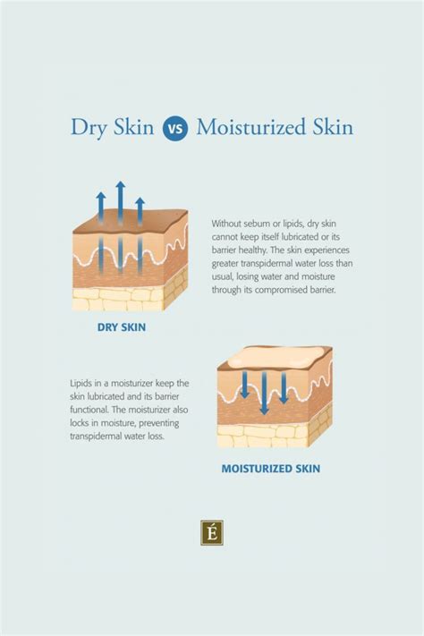 Ultimate Guide For Dry Skin Causes Symptoms And How To Find Relief In