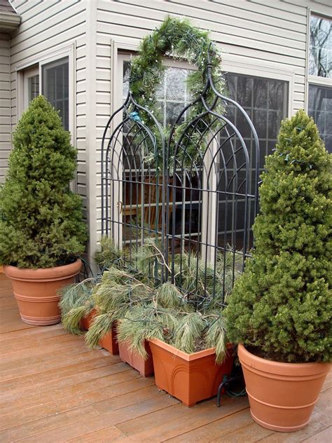Evergreen Trees Containers