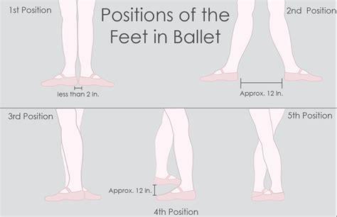 Ballet Terms For Beginners Dance Classics