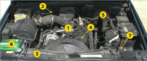 I have searched for a diagram showing each component under the hood of a w210. cleaning - How to clean parts under the hood - Motor ...