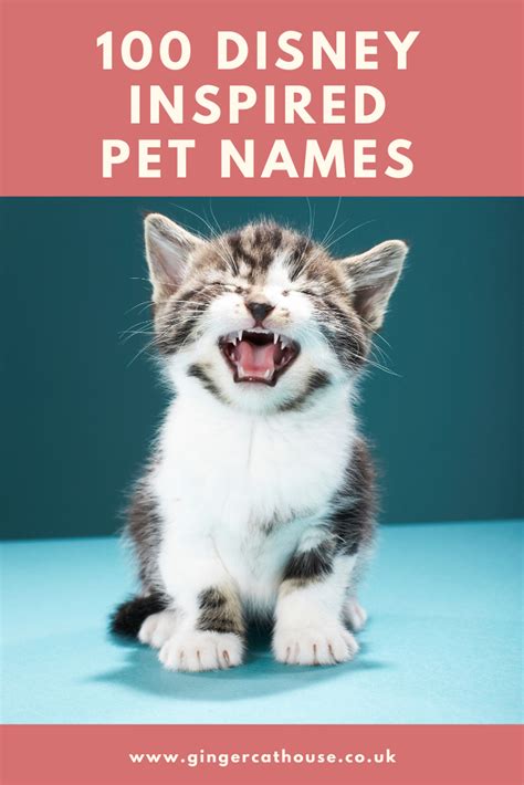 Top Disney Cat Names For Your New Feline Addition Artofit