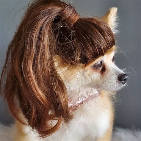 Blond Color Pet Wig With Ponytails For Dog Or Cat Etsy