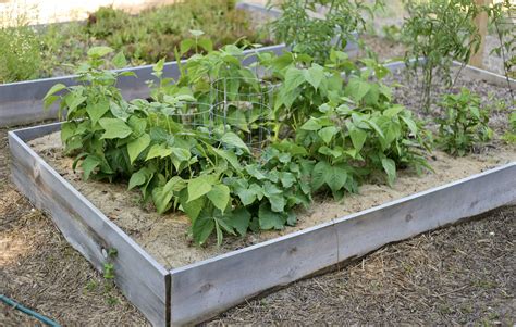 Check spelling or type a new query. How To Build Food Security In Less Than 30 Days - Week 2 ...