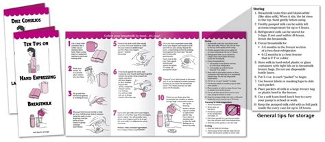 Ten Tips On Hand Expressing Breastmilk Pamphlet Noodle Soup